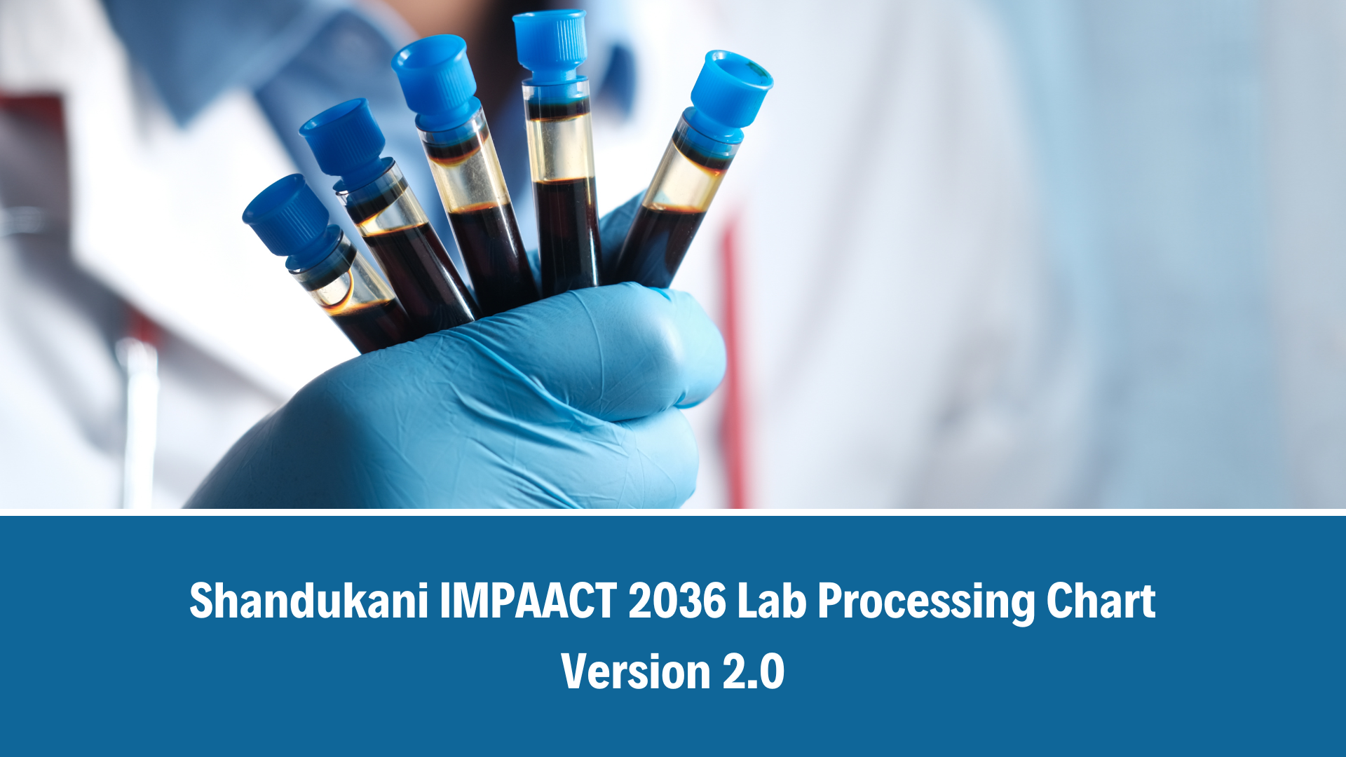 IMPAACT 2036 Lab Processing Chart Version 2.0_Revised 27 May 2025