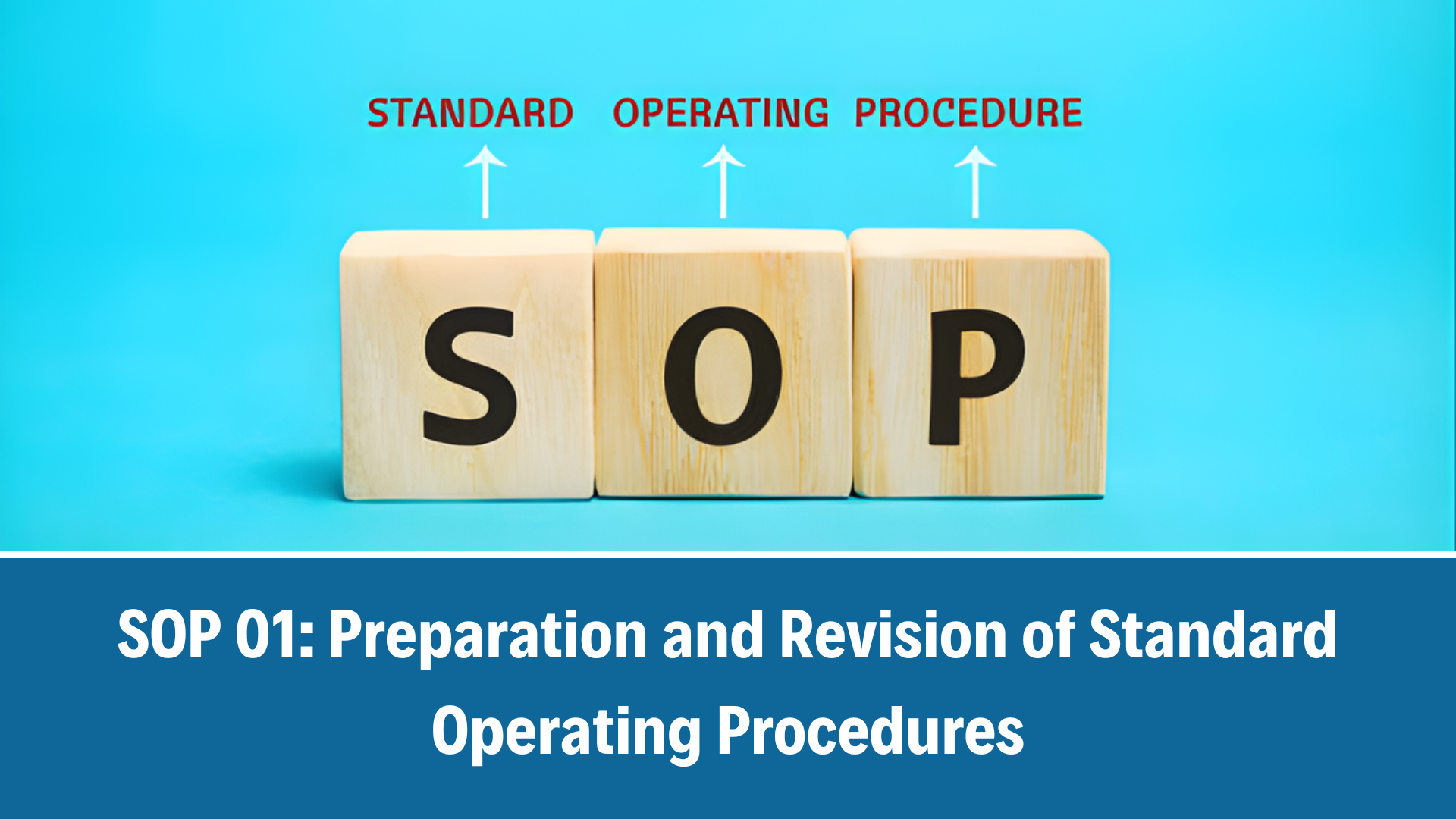 LEN4PrEP SOP 01: Preparation and Revision of Standard Operating Procedures, V1.0, 11 November 2025