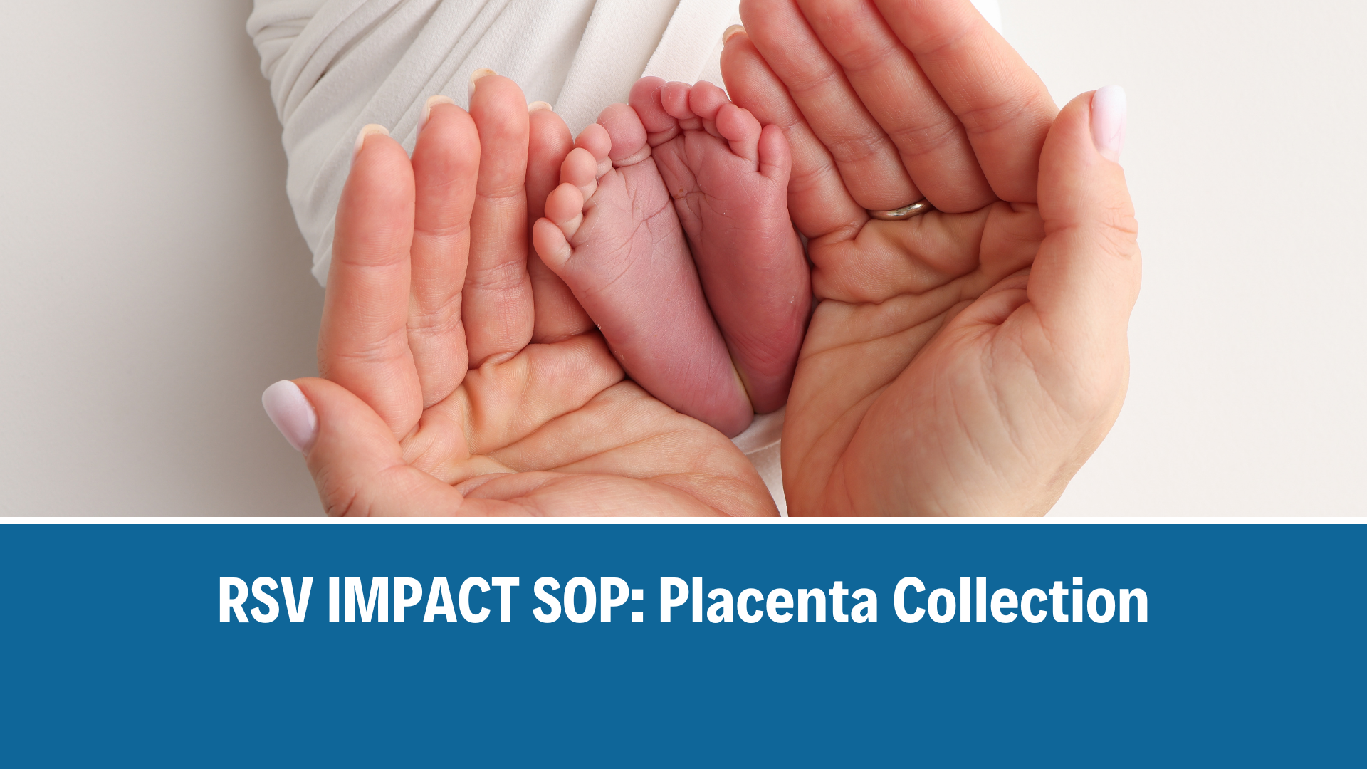  RSV IMPACT SOP: Placenta Collection, V2.0, 28 July 2026