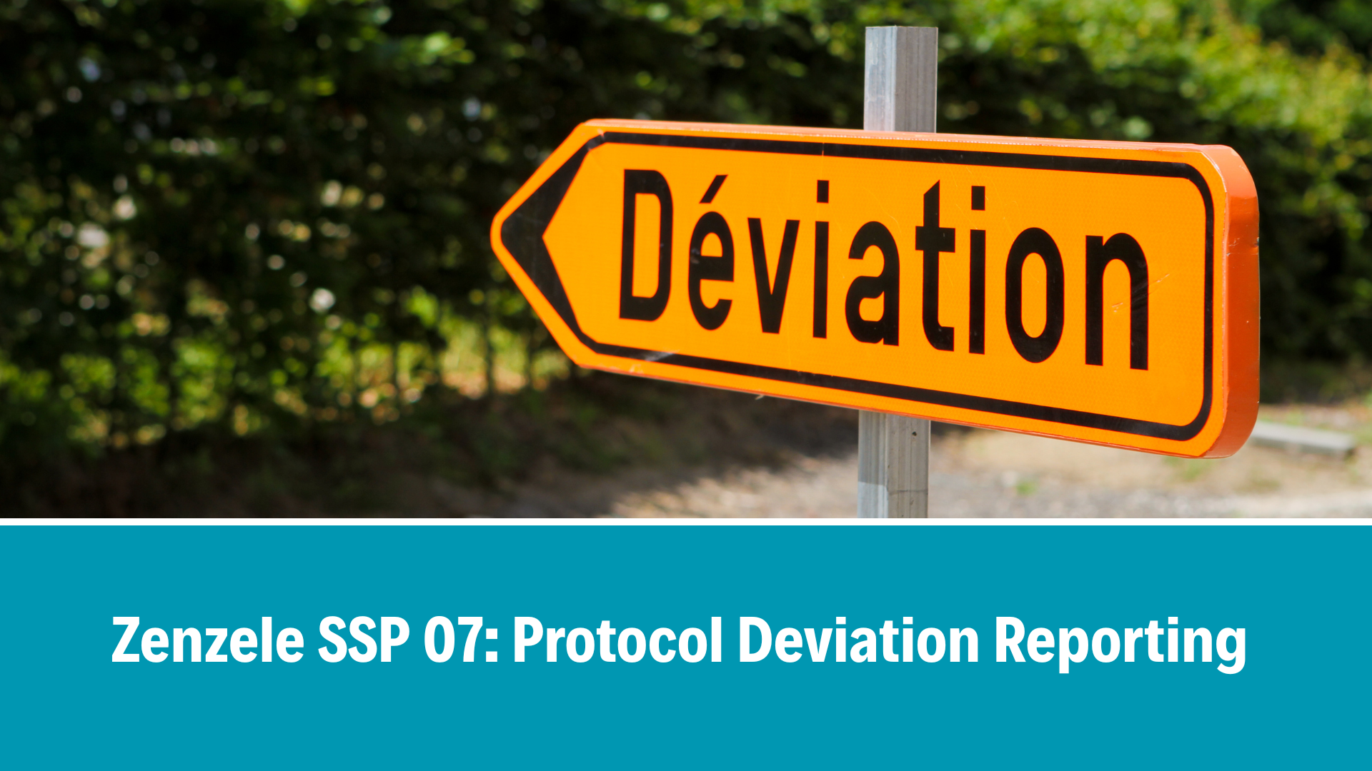 Zenzele SSP 07: Protocol Deviation Reporting_V1.0, 18 Aug 2026